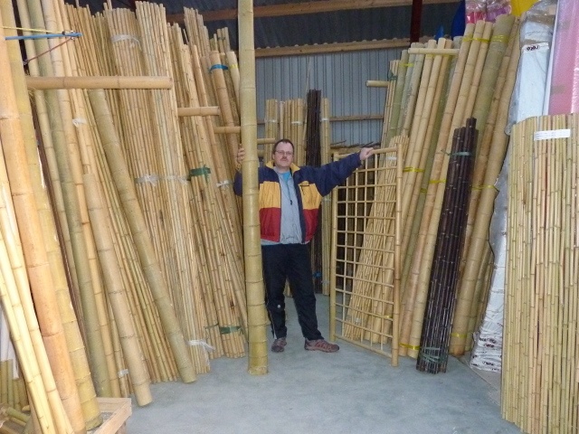 Lighed glans Med det samme Bambus til hus og have, bambusrør og bambusstokke